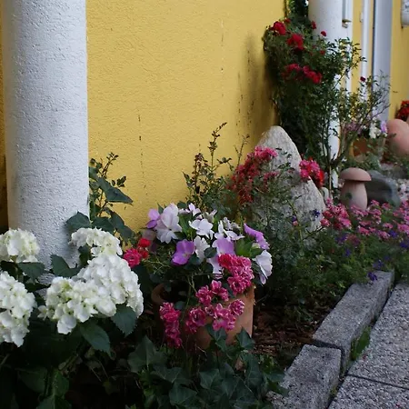 Homestay Privatpension Ulrike *