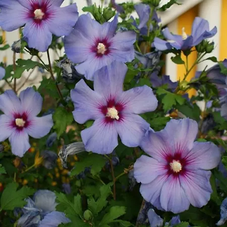 Privatpension Ulrike Graz